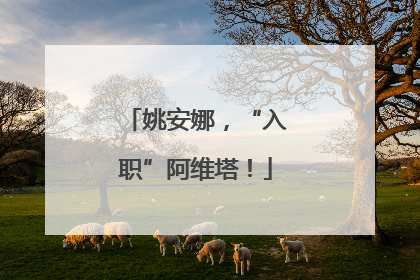 姚安娜，“入职”阿维塔！